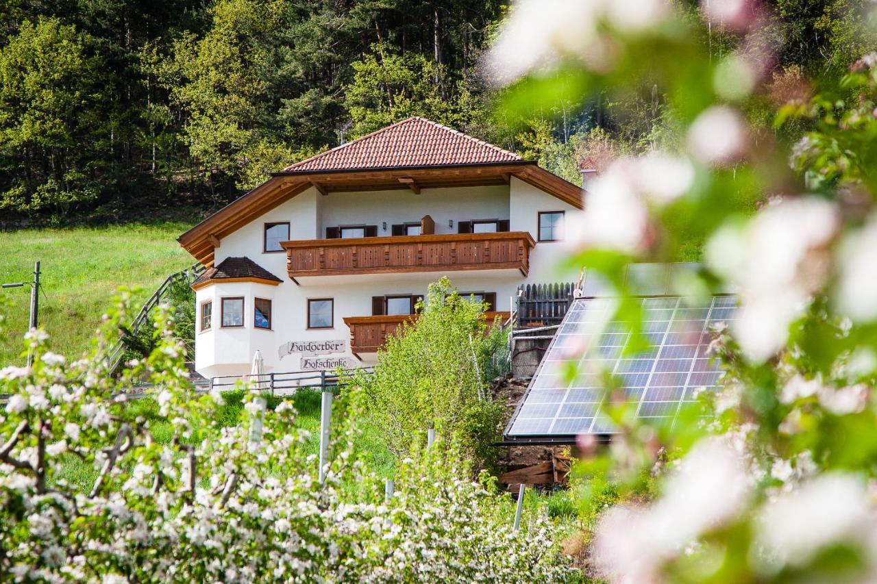 Haidgerberhof - Apartments & Homemade Food Longostagno Exteriér fotografie